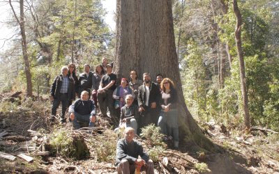 Miembros del Consejo de Sociedad Civil de CONAF visitaron predio Ranchillo Alto