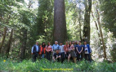 La Carrera de Ing. Forestal finaliza con éxito la Gira Zona Sur de Chile-Argentina