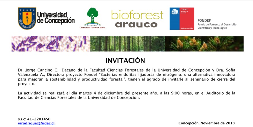 Seminario de Cierre