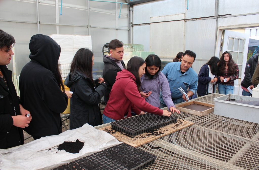 Comenzó los Cursos Talentos UdeC Verano 2019