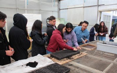 Comenzó los Cursos Talentos UdeC Verano 2019