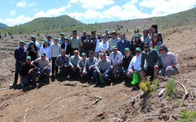FCF Y ENEL ENCABEZARON PROYECTO DE REFORESTACIÓN DE BOSQUE NATIVO EN CURACAUTÍN