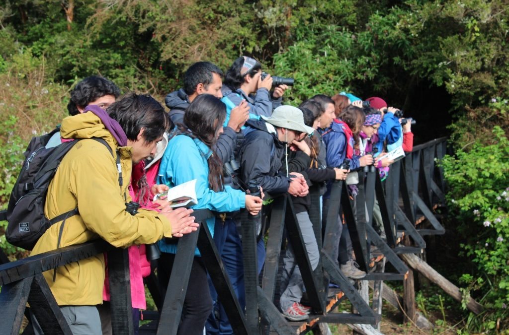 Estudiantes Ing. Conservación de RRNN realizaron gira en la Senda Darwin, Chiloé