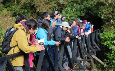 Estudiantes Ing. Conservación de RRNN realizaron gira en la Senda Darwin, Chiloé