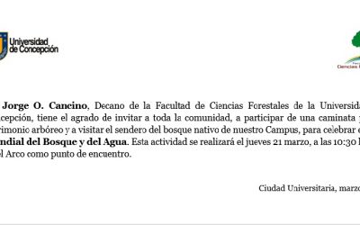 Invitación: Día Internacional de los Bosques y el Día Mundial del Agua