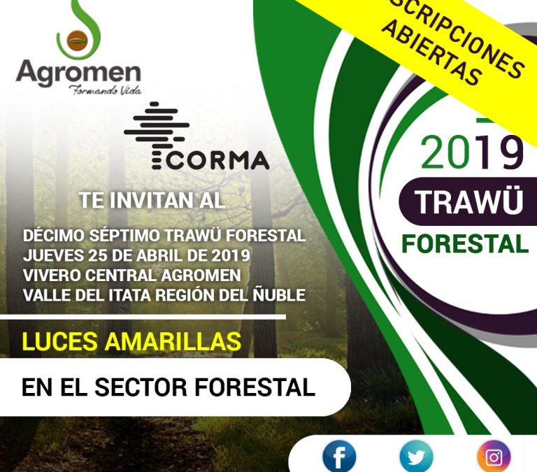 Décimo Séptimo Trawü Forestal