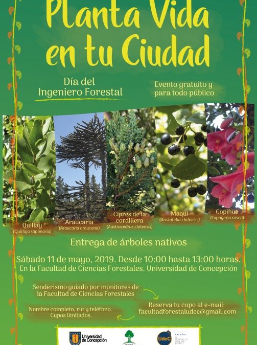 Día del Ingeniero Forestal 2019