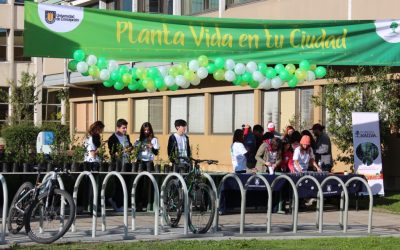 Celebración del Día del Ingeniero Forestal: se entregaron árboles nativos a vecinos de la comunidad penquista