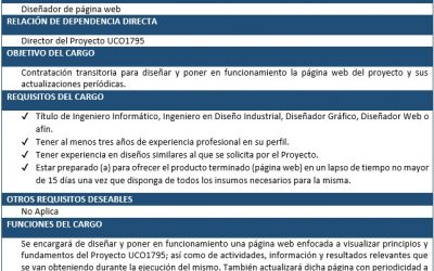 CONCURSO PÚBLICO: DISEÑADOR DE PÁGINA WEB
