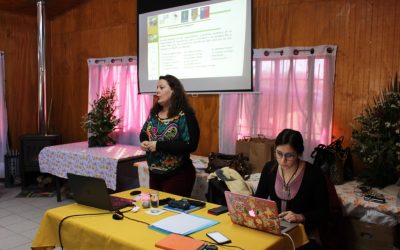Seminario en Santa Clara: ¿Cómo los plaguicidas ponen en peligro la seguridad de los alimentos?