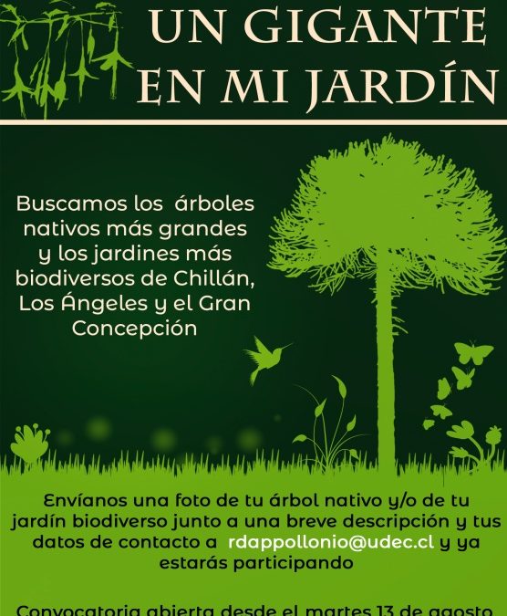 Un gigante en mi Jardín: Bases del Concurso