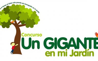 “Facultad de Ciencias Forestales UdeC busca los mejores árboles del Gran Concepción, Chillán y Los Ángeles a través de su concurso ciudadano Un gigante en mi jardín”