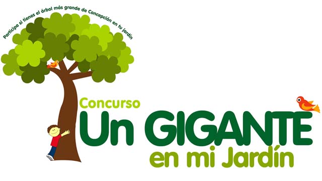 “Facultad de Ciencias Forestales UdeC busca los mejores árboles del Gran Concepción, Chillán y Los Ángeles a través de su concurso ciudadano Un gigante en mi jardín”