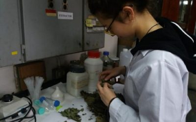 Compromiso y perseverancia, ingredientes fundamentales en la receta de la ciencia