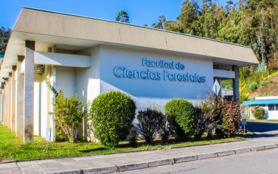 Grupo de exalumnos ingenieros forestales dona 32 becas de conectividad para estudiantes a campaña Alumni UdeC