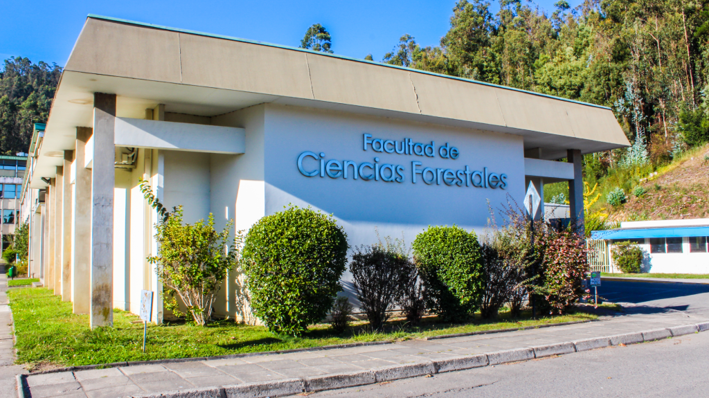 Grupo de exalumnos ingenieros forestales dona 32 becas de conectividad para estudiantes a campaña Alumni UdeC