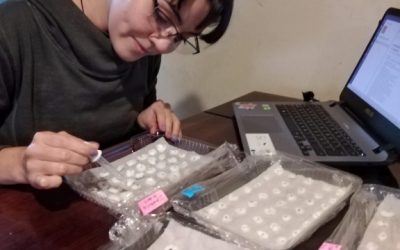 Reinventando la docencia: laboratorios caseros en tiempos de pandemia