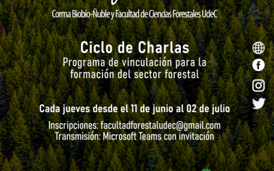 Programa de vinculación de CORMA apoya formación online de estudiantes a través de ciclo de charlas “Café Forestal”
