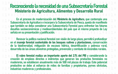Reconociendo la necesidad de una Subsecretaría Forestal