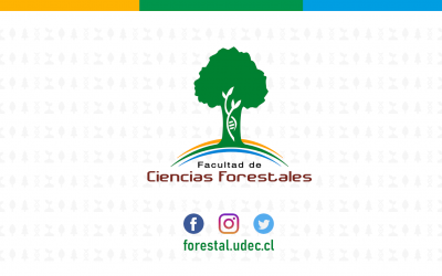 Formulario de Postulación Ayudantías Pregrado II Semestre 2020