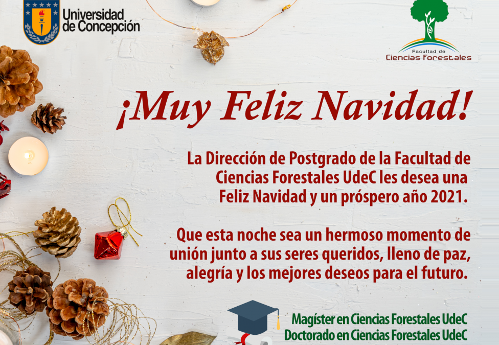 La Dirección de Postgrado de la Facultad de Ciencias Forestales les desea una Feliz #Navidad y un próspero año 2021