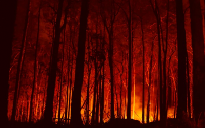[Opinión] Nuevamente los incendios de vegetación amenazan viviendas: la seguridad es cambiar a comunidades urbanas resistentes