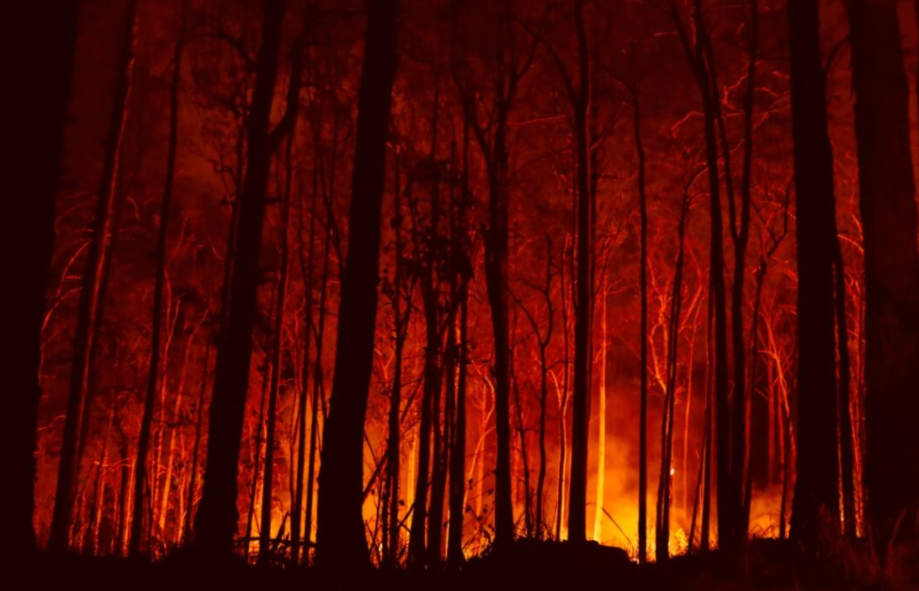 [Opinión] Nuevamente los incendios de vegetación amenazan viviendas: la seguridad es cambiar a comunidades urbanas resistentes