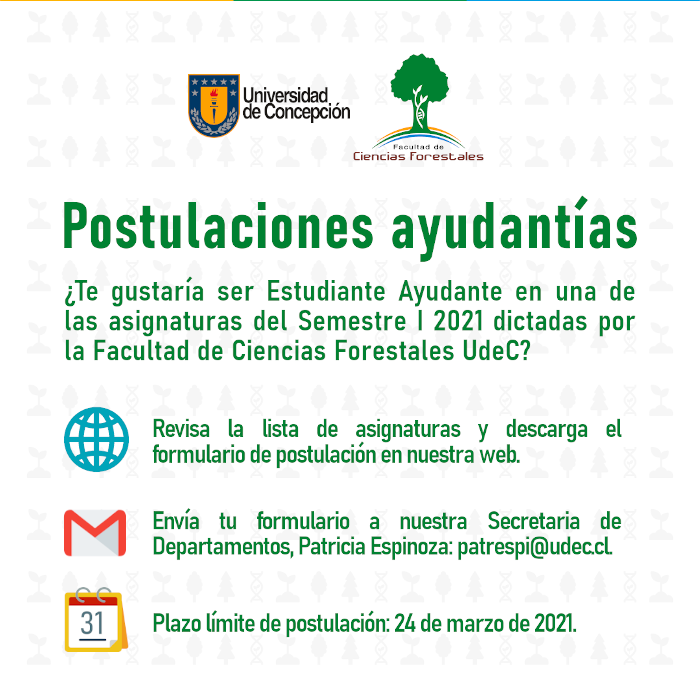 Postula como Estudiante Ayudante a las asignaturas del Semestre I 2021 dictadas por la Facultad