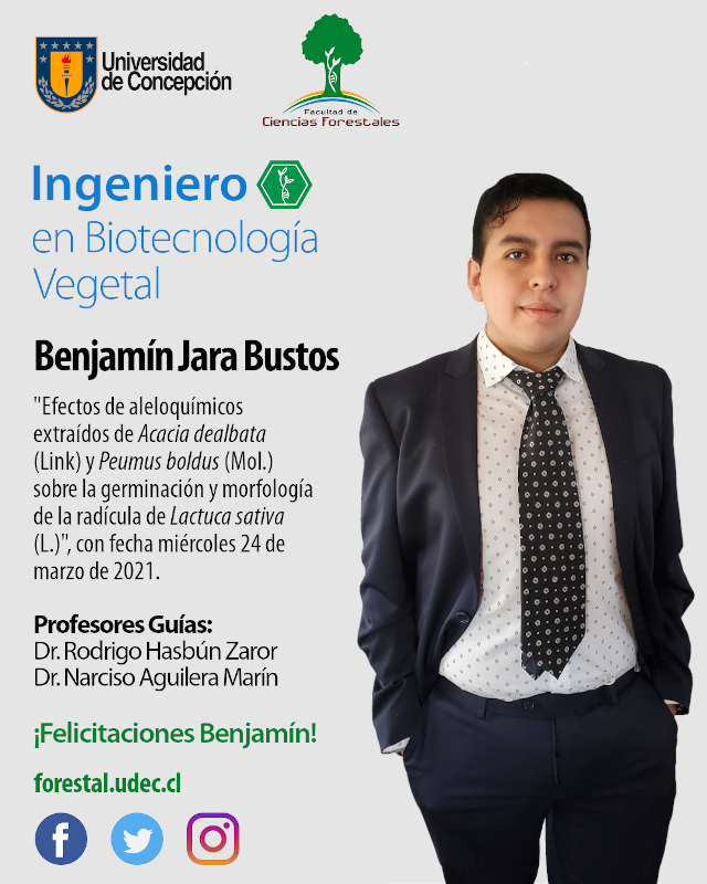 Benjamín Jara diseño