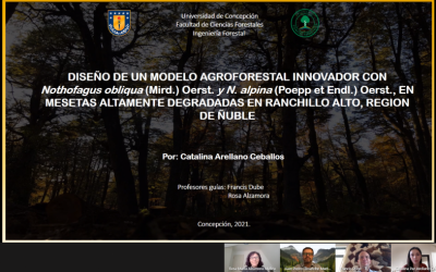 Catalina Arellano Ceballos es nuestra nueva Ingeniera Forestal