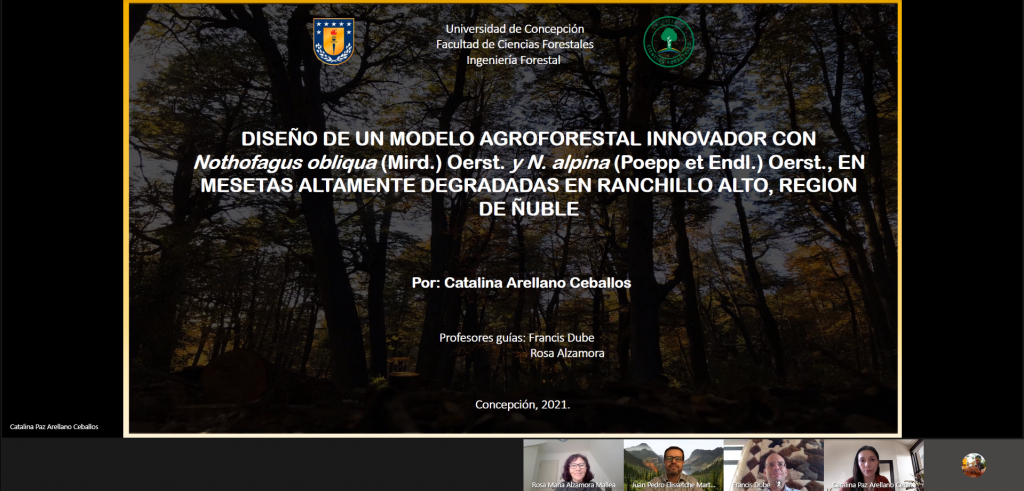 Catalina Arellano Ceballos es nuestra nueva Ingeniera Forestal