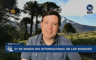 Entrevista de TVU a Dr. Aníbal Pauchard en el Día Internacional de los Bosques