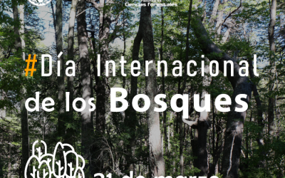 #Día Internacional de los Bosques – 21 de marzo