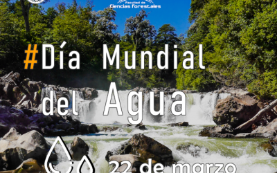 #Día Mundial del Agua – 22 de marzo