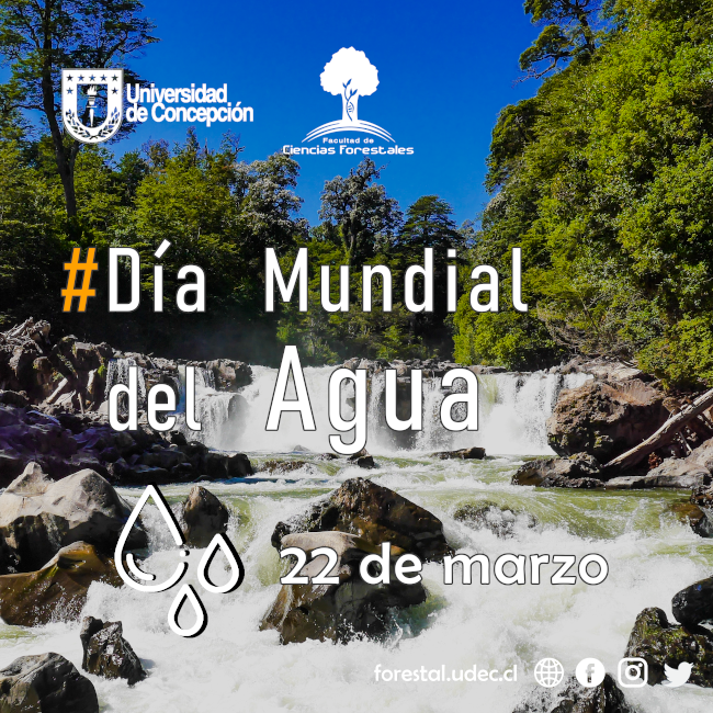 #Día Mundial del Agua – 22 de marzo