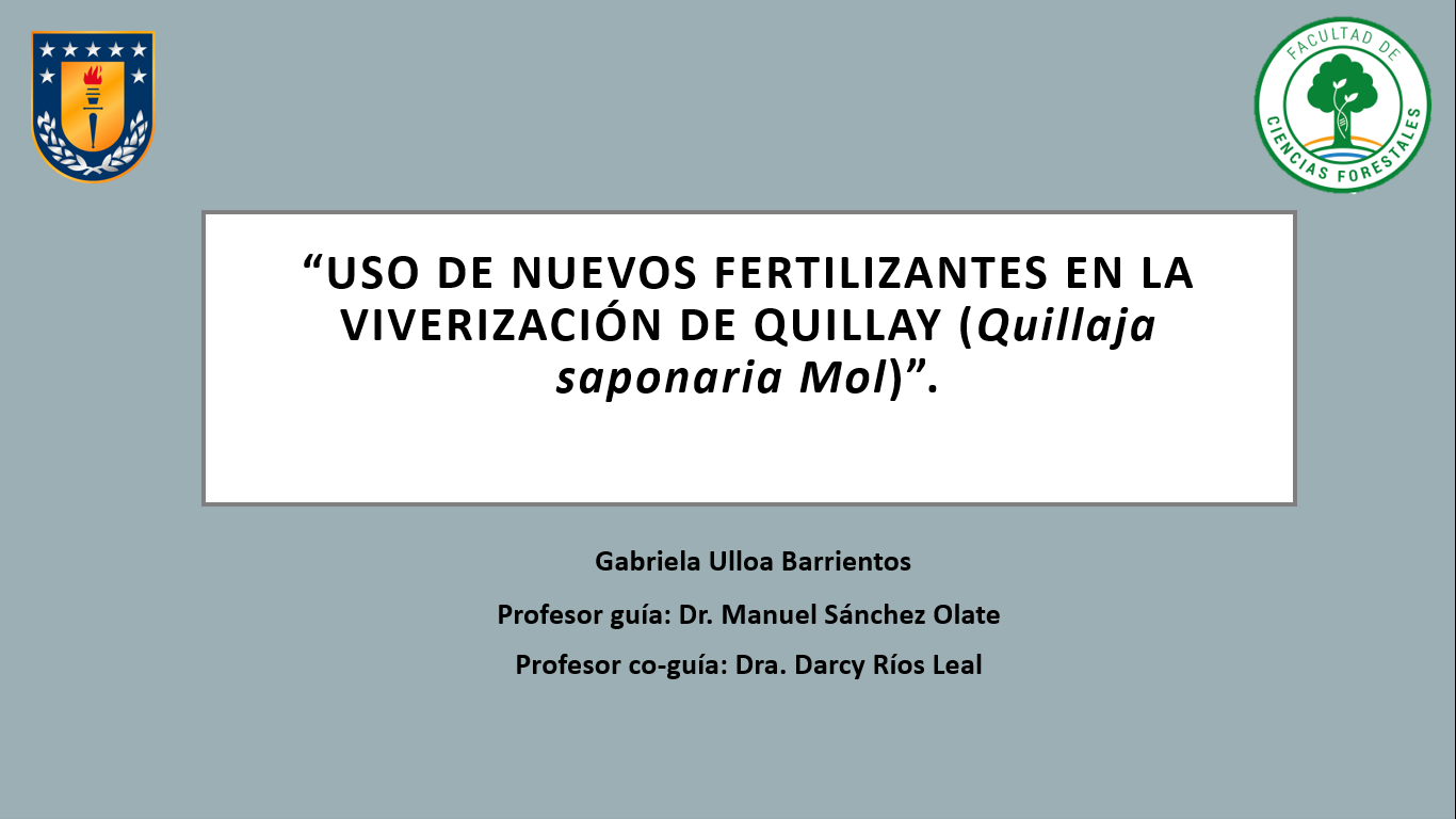 Gabriela Ulloa ppt