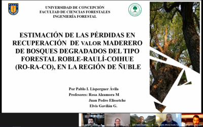 Pablo Lisperguer Ávila es nuestro nuevo Ingeniero Forestal