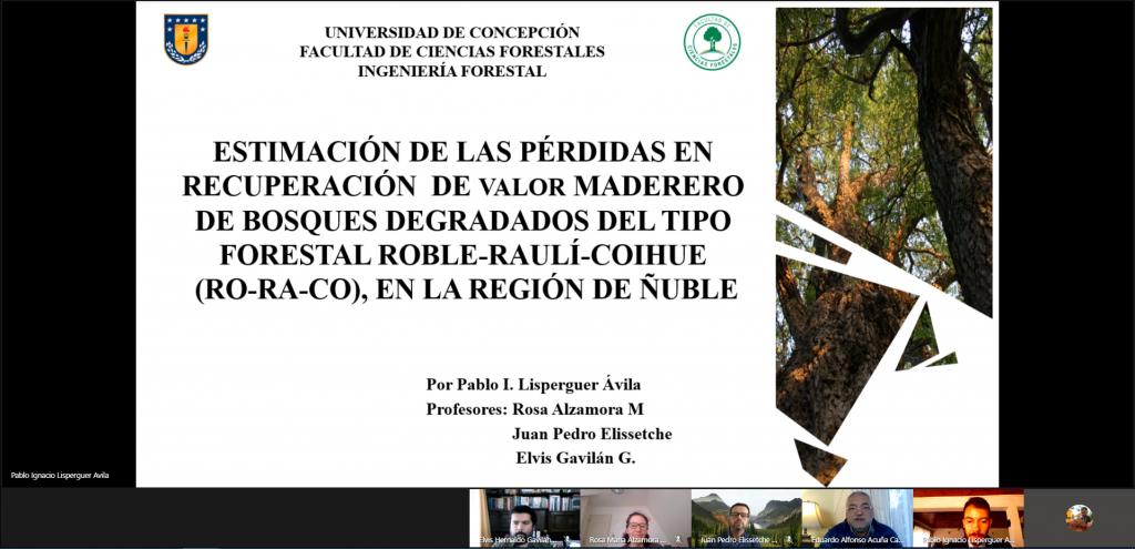 Pablo Lisperguer Ávila es nuestro nuevo Ingeniero Forestal