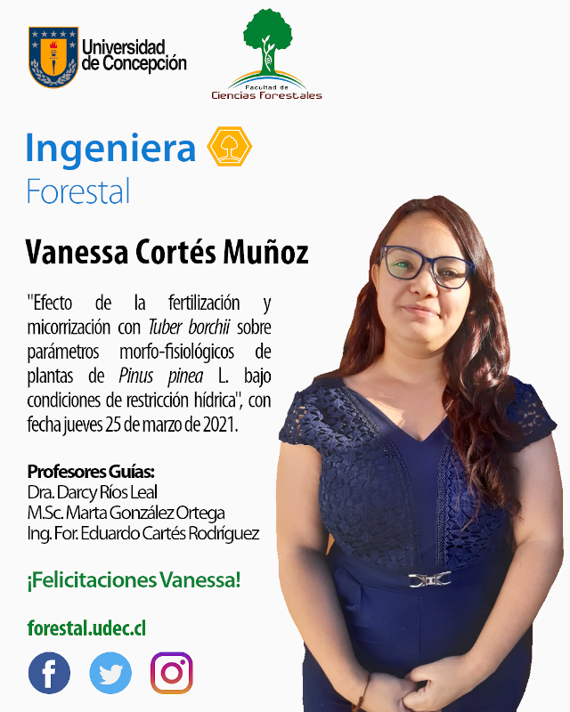 Vanessa Cortés diseño