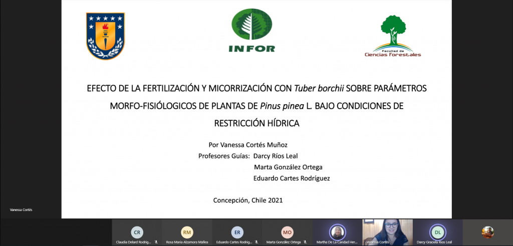 Vanessa Cortés ppt