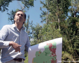 Académico Cristián Echeverría participará en comité gubernamental para la restauración de paisajes