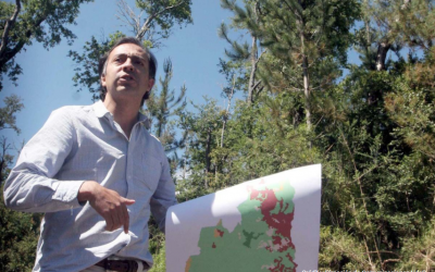 Académico Cristián Echeverría participará en comité gubernamental para la restauración de paisajes