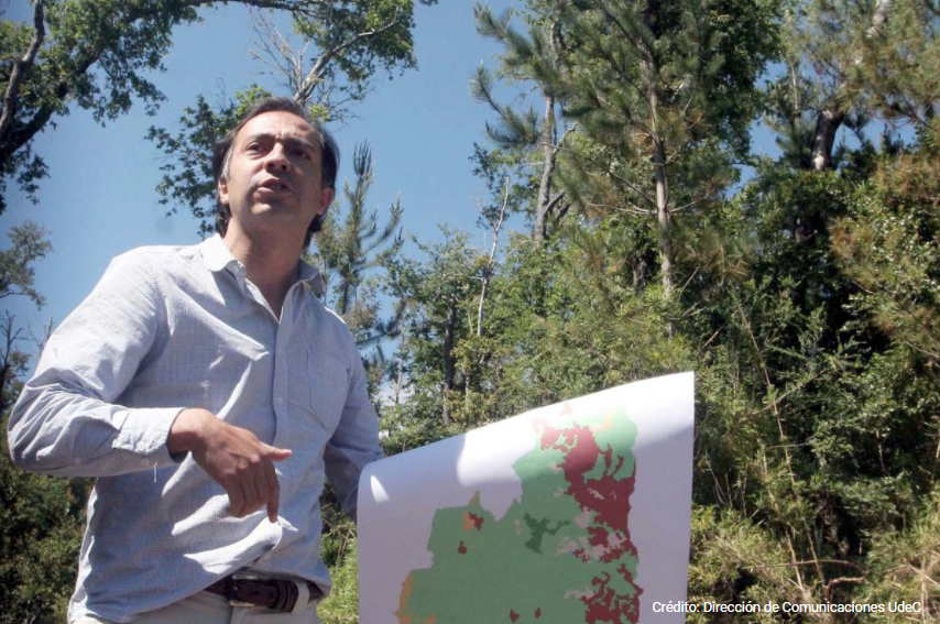 Académico Cristián Echeverría participará en comité gubernamental para la restauración de paisajes
