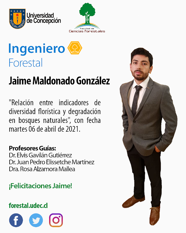 Jaime Maldonado diseño
