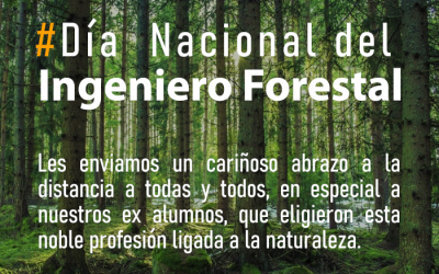 Día del Ingeniero Forestal 03 de mayo — Editorial Decano Dr. Manuel Sánchez Olate