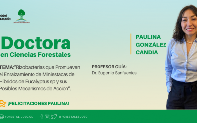 Paulina González Candia es nuestra nueva Dra. en Ciencias Forestales UdeC
