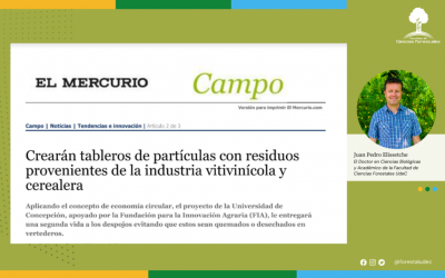 Entrevista: Crearán tableros de partículas con residuos provenientes de la industria vitivinícola y cerealera