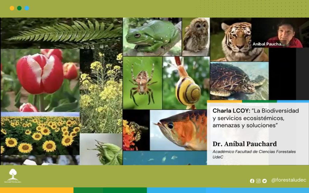 Charla LCOY: Cambio del Uso de Suelo de la Tierra y Silvicultura