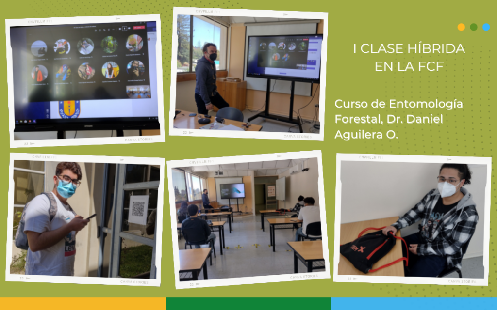 Alumnos de Ingeniería Forestal participan en primera clase híbrida junto al profesor Dr. Daniel Aguilera