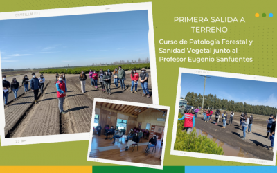 Primera salida a Terreno del curso de Patología Forestal y Sanidad Vegetal